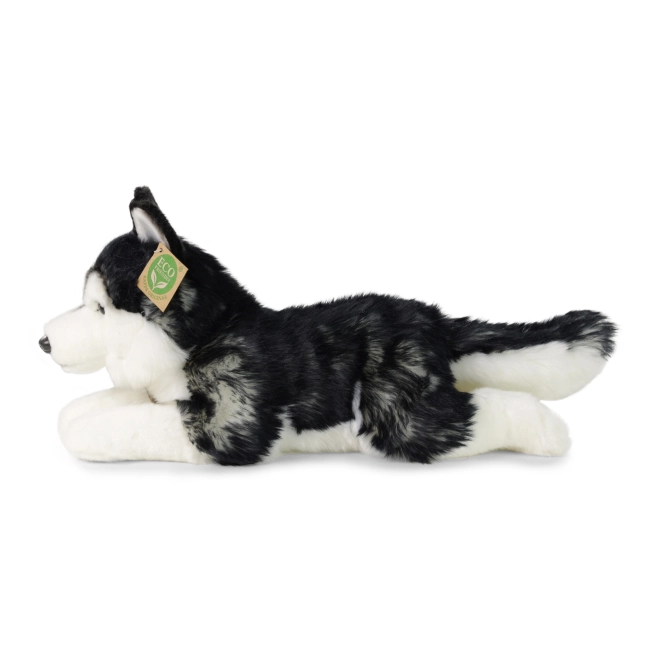 Plišani pas husky 36 cm EKO-PRIJATELJSKI