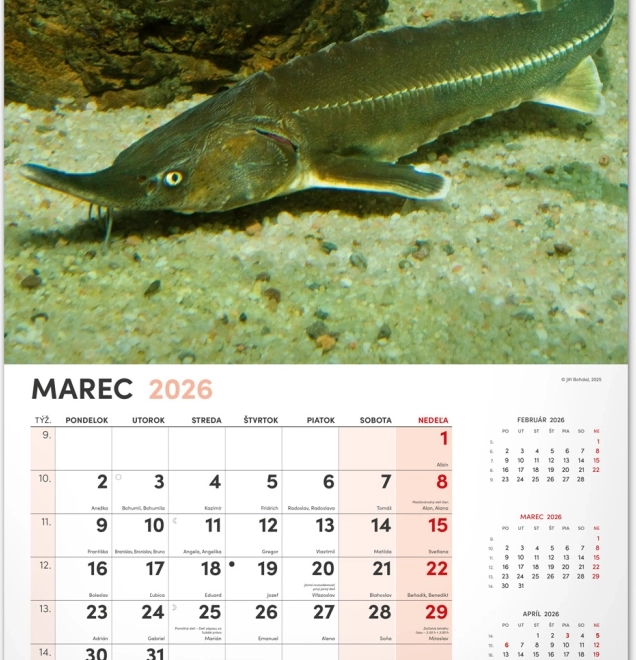 Zidni kalendar Ribolovački 2026
