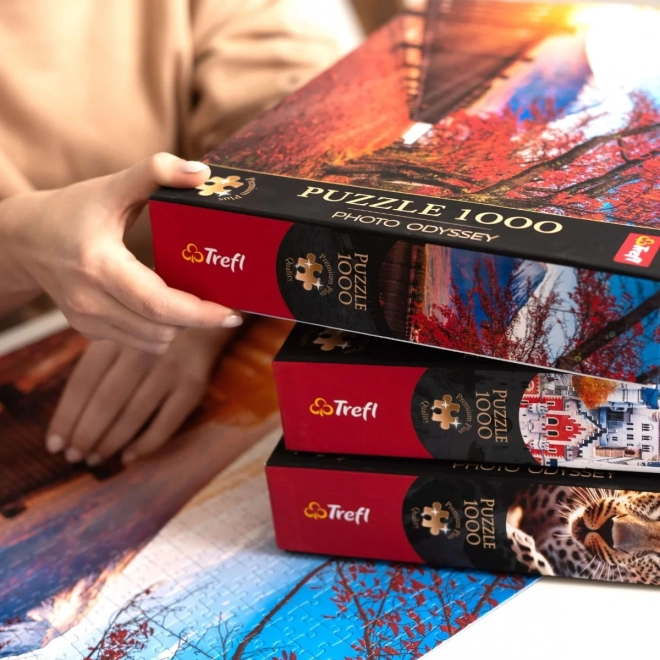 TREFL Puzzle Premium Plus Photo Odyssey: Duh Otok, Kanada 1000 dijelova