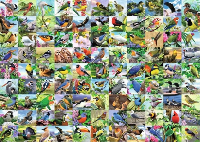 Puzzle 2D veliki format – 99 očaravajućih ptica, 300 komada