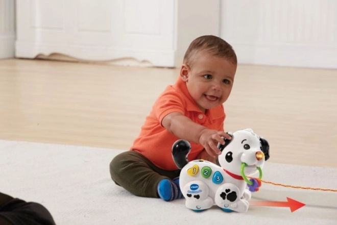 Vtech Govoreći Dalmatinac CZ