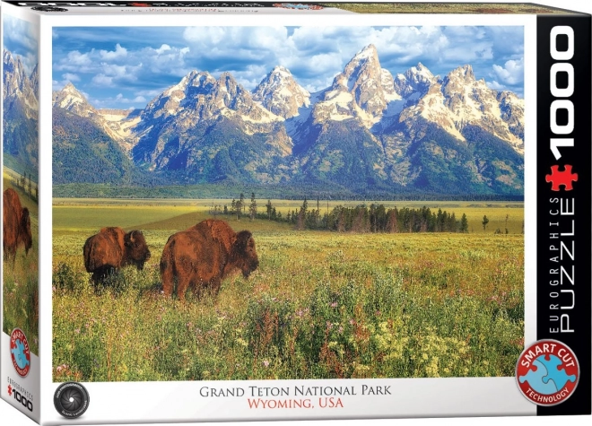 Puzzle prekrasni Nacionalni park Grand Teton 1000 komada