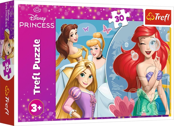 Motiv princeza DISNEY PRINCESS