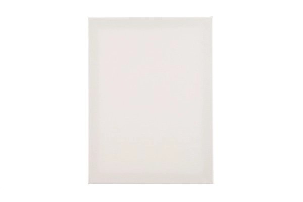 Slikarsko platno 30x40cm u foliji