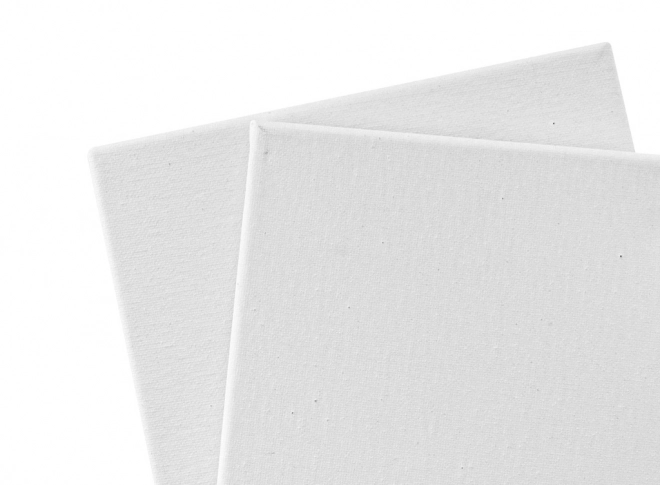 Platna za slikanje 20x20 cm - 2 kom