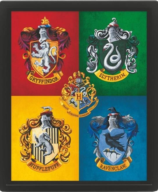 3D slika Harry Potter u boji