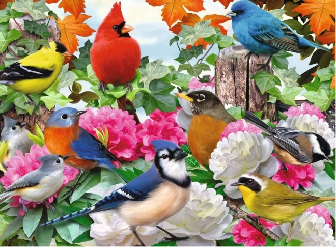 Ravensburger puzzle Vrtni ptice 500 dijelova