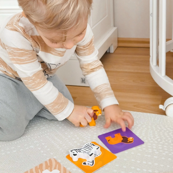 Edukativni Montessori kutija za djecu u dobi od 31-36 mjeseci