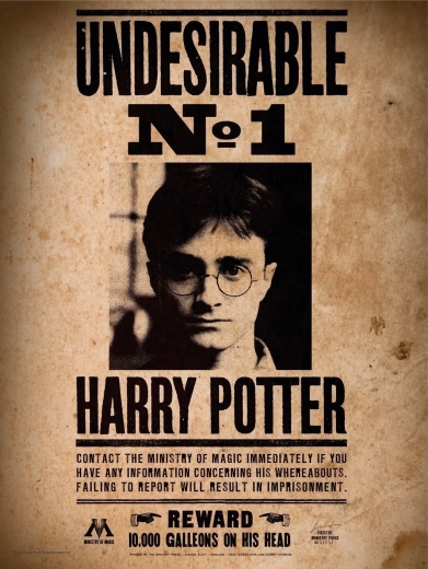 Mini puzzle HARRY POTTER 50 dijelova – plakat