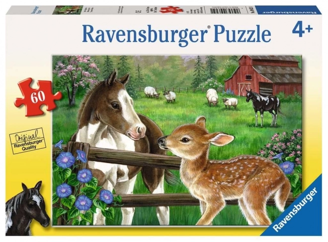 Puzzle Ždrijebe i lane 60 dijelova