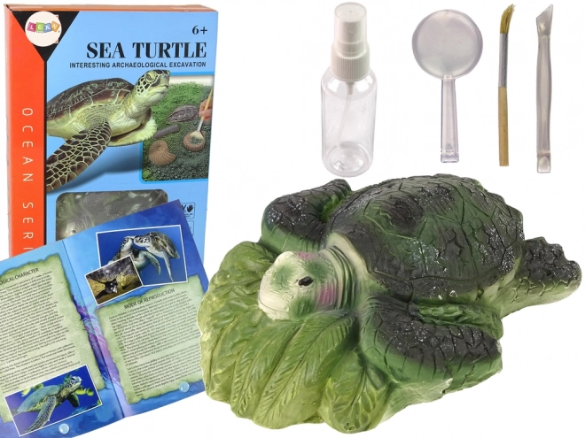 Edukativni set iskopine kornjače Amonit