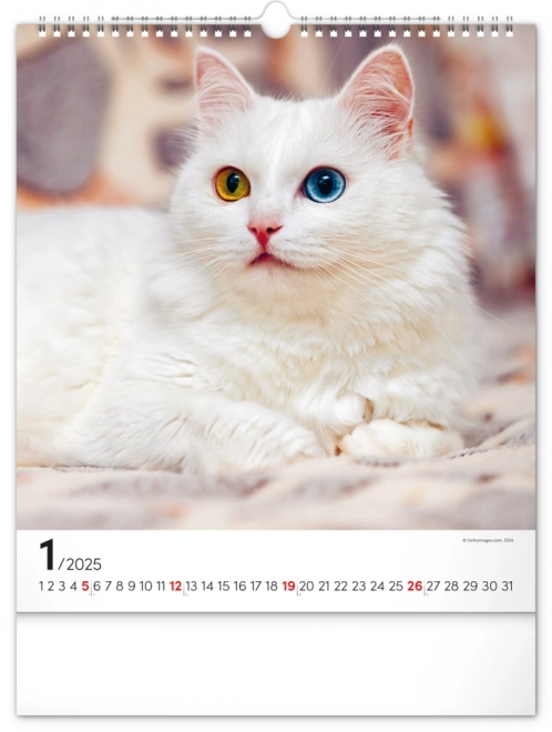 Zidni kalendar Mačke 2025, 30 × 34 cm