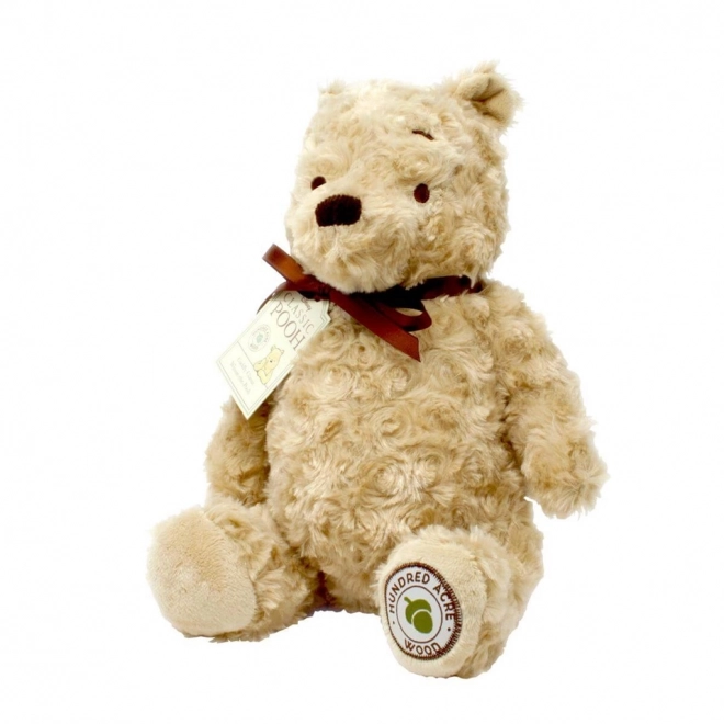 Rainbow plišani Winnie Pooh iz Stojutarske šume