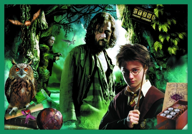 Puzzle Harry Potter - U svijetu Harryja Pottera 10u1