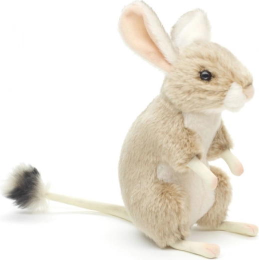 Realistični detalji tarbika