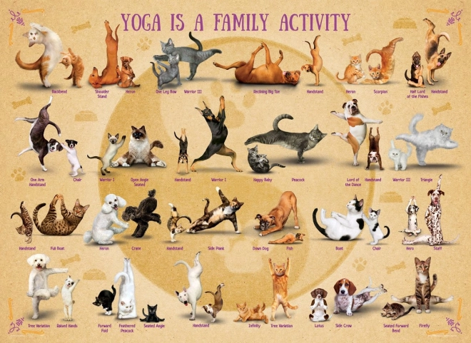 Puzzle Joga XL 500 dijelova
