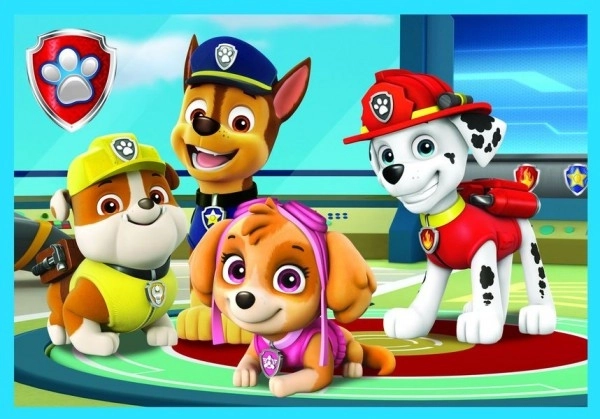 Puzzle Paw Patrol Psići u ophodnji 10u1 Pouzdan tim u kutiji 40x27x6cm