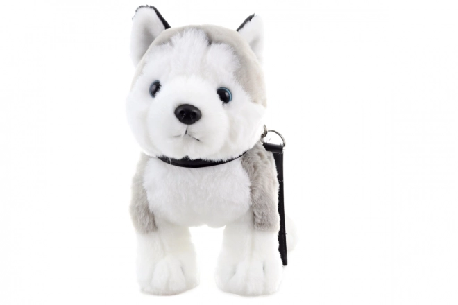 Plišana igračka husky s uzicom