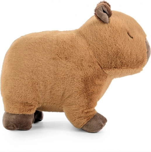 Prirodan, umirujući dizajn