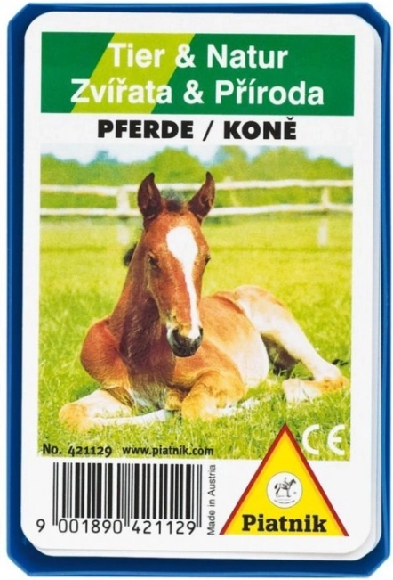 Kvartet – Konji u plastičnoj kutijici