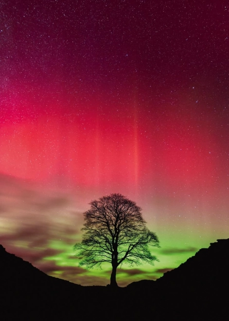 Puzzle Heye Snaga prirode: Sycamore Gap, 1000 komada