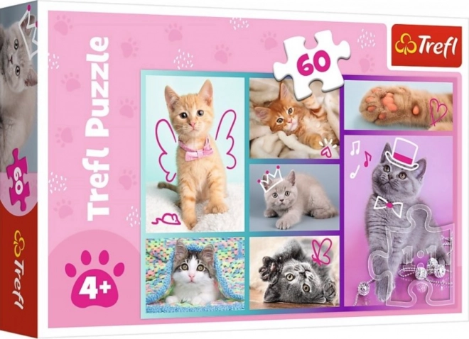 Puzzle 60 dijelova Slatke mačkice