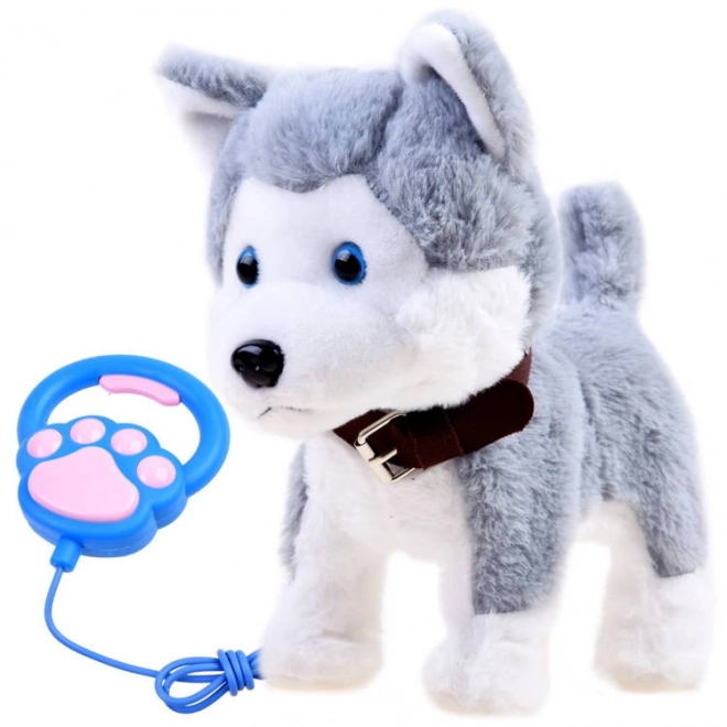 Interaktivni psić Husky na povodcu