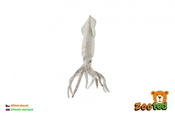 Opća lignja zooted plast 15cm u vrećici