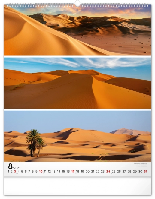 NOTIQUE Zidni kalendar Paleta 2025, 48 x 56 cm