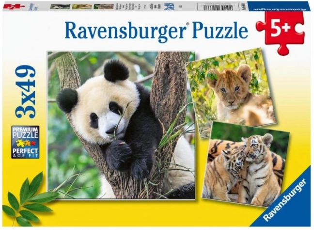 Panda, tigar i lav 3x49 dijelova