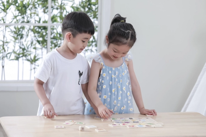 VIGA edukativna igra drvene puzzle za učenje osjetila