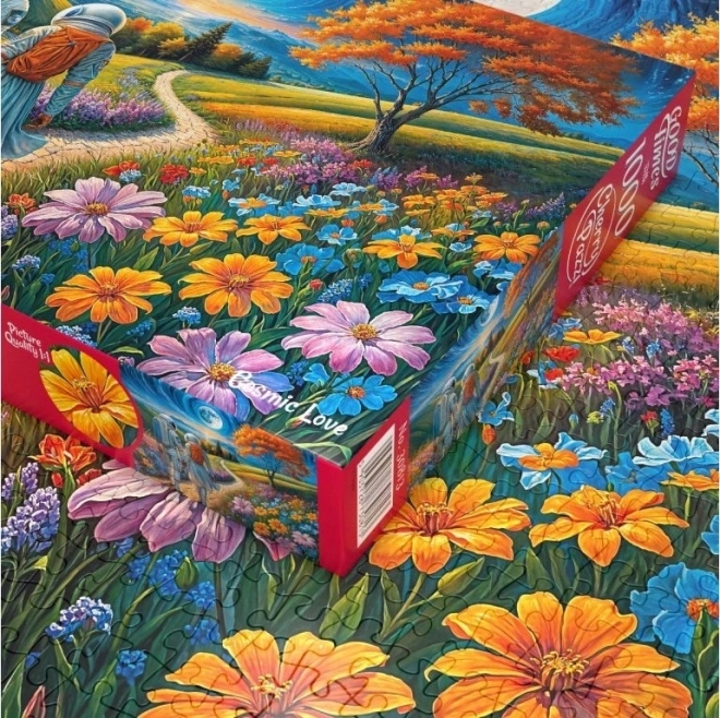 Puzzle Kozmička ljubav s 1000 dijelova