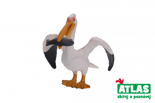 C - Figura Pelikan
