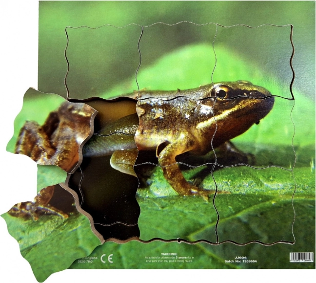 Just Jigsaws Žaba i njezin životni ciklus - drvene slojevite puzzle