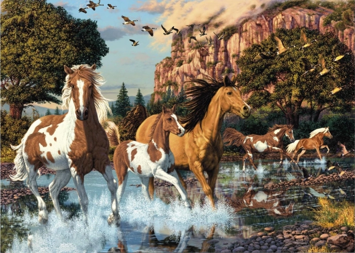 Puzzle Skriveni konji 1000 dijelova – Secret Collection
