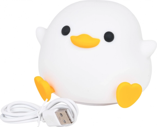 Punjiva baterija i USB‑C