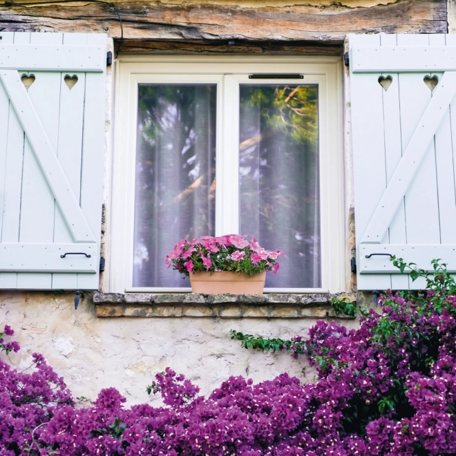 Žabica Kalendar Provence 2026