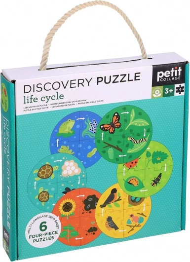 Petit Collage Puzzle Istraživača Životnog Ciklusa