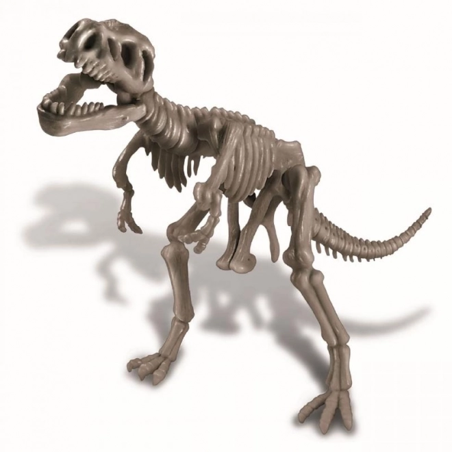 Dinosaurova kost - REX