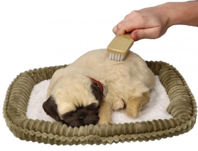 Dišući štene mopsa Perfect Petzzz
