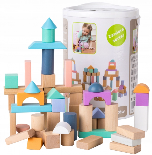 Drvene kocke 100 kom u kanti sa sorterom Ecotoys