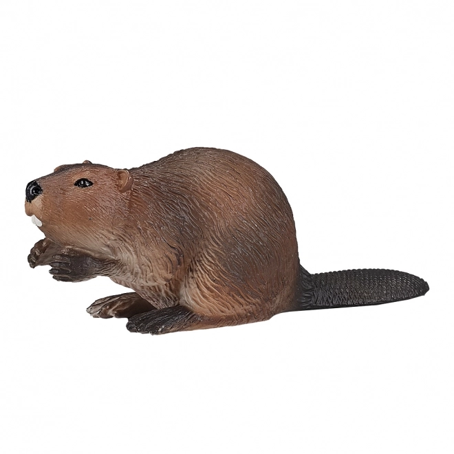 Mojo Dabar