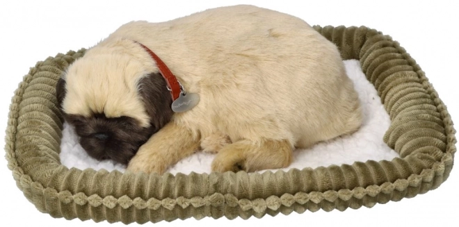 Dišući štene mopsa Perfect Petzzz