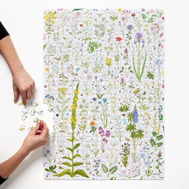 Puzzle od 1000 komada Puzzlove Poljsko Cvijeće
