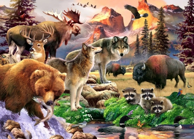 Puzzle Priroda 500 dijelova