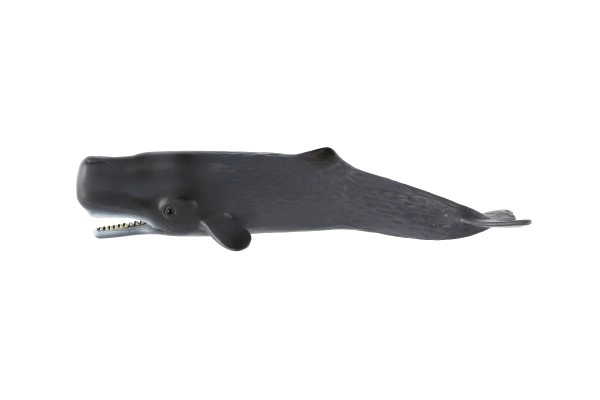 Realistični model Ulješure 24 cm