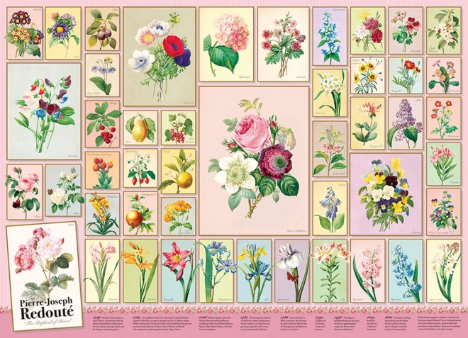 Puzzle Pierre-Joseph Redouté 1000 dijelova od Cobble Hill