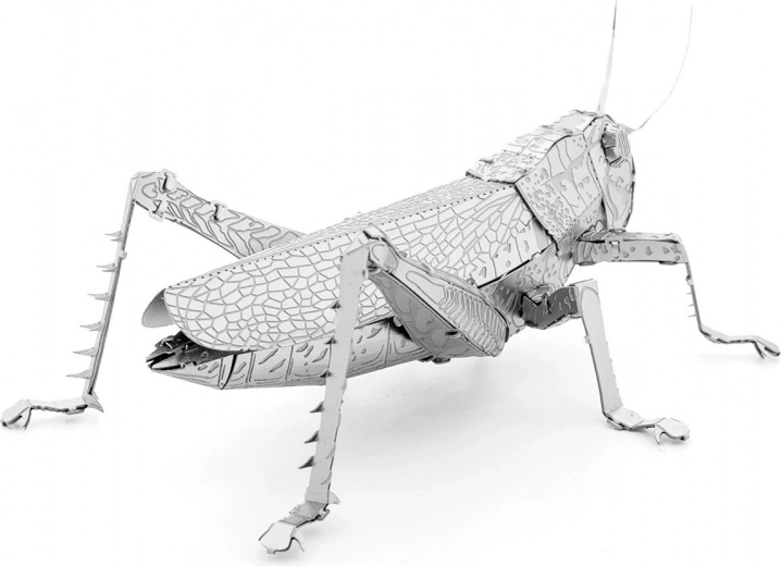 Metalni kolekcionarski komad za izlaganje