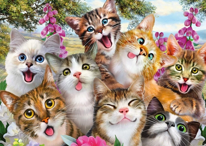 Puzzle Mačja selfie 500 dijelova SCHMIDT