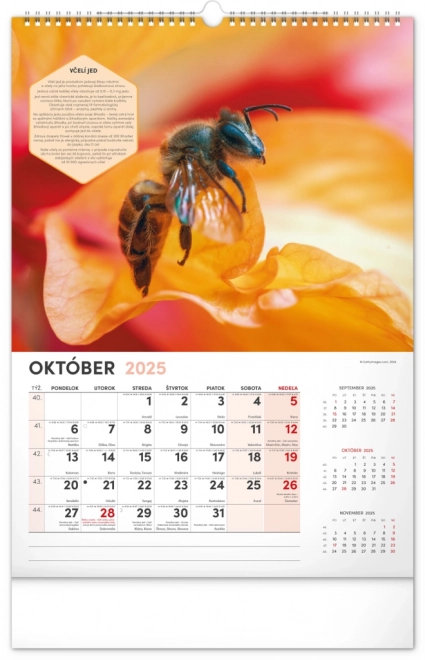 NOTIQUE Zidni Pčelarski kalendar 2025, 33 x 46 cm